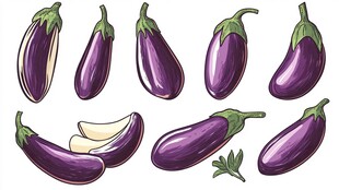 多样茄子插画展示