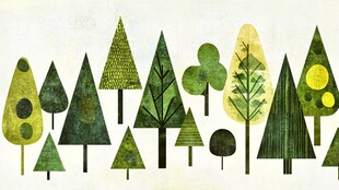 清新手绘风森林树木集合