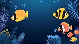 海底多彩鱼儿畅游画面