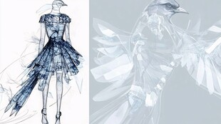 鸟元素时尚服装设计稿