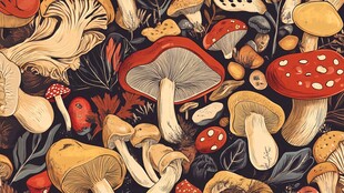 多彩蘑菇插画 自然风图案