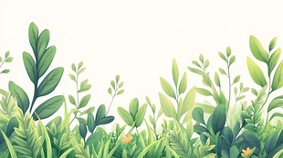 清新绿植边框插画