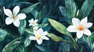 白色花卉与绿叶的清新画面