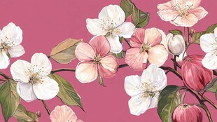 粉色背景上的缤纷苹果花