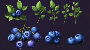手绘蓝莓及枝叶插画素材