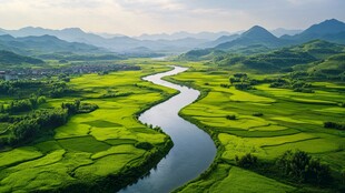 蜿蜒河流穿翠色田园