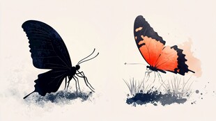 双蝶水墨绘 灵动自然韵