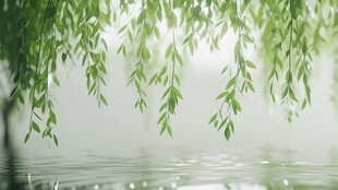 垂柳拂水 绿意盎然的景致