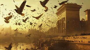 夕阳下飞鸟环绕古老建筑