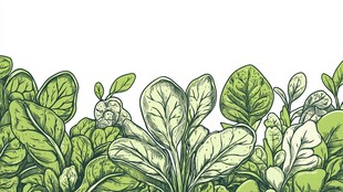 手绘绿叶植物边框图案