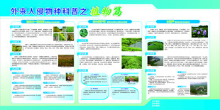 外来入侵物种科普之植物