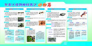外来入侵物种科普之动物篇