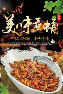 美味蚕蛹