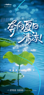 夏日荷塘清凉风景图