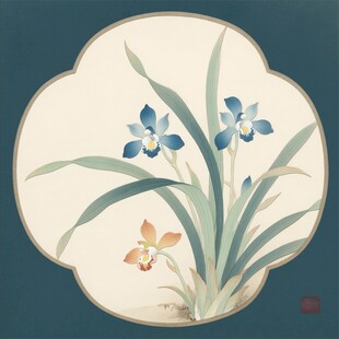 兰花