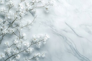 白花缀于大理石背景上