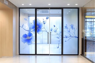 蓝花玻璃门 现代室内景致