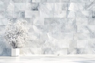 简约大理石墙前的精致盆栽