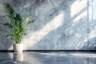 室内绿植与大理石墙面景致