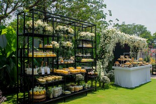 户外精致自助餐美食陈列