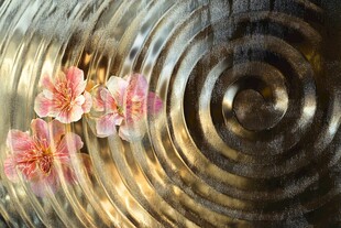 水中桃花涟漪梦幻景致