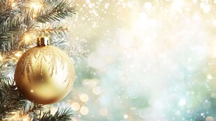 金色圣诞球装点松枝