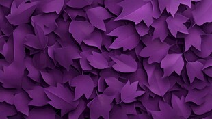 紫色纸叶纹理背景图