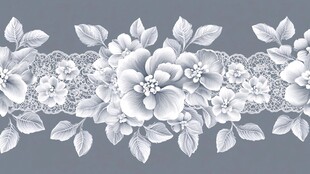 白色花卉蕾丝边精美图案