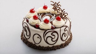 精美装饰的美味巧克力蛋糕