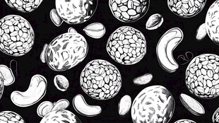 黑白风坚果无缝图案