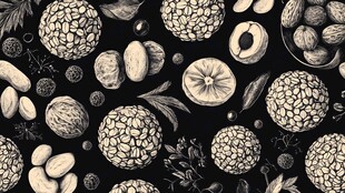 手绘坚果图案背景纹理