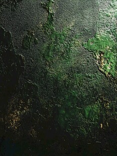 青苔覆盖的古老墙面