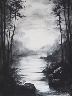 黑白森林河畔静谧景象