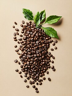咖啡豆与绿叶的自然组合