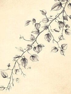 手绘枝叶图