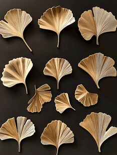 银杏叶特写 自然的优美馈赠