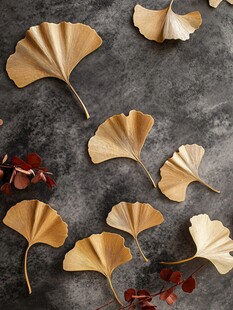 银杏秋叶散落的自然之美