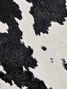 黑白奶牛花纹皮革纹理
