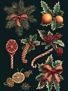 圣诞装饰元素手绘插画集