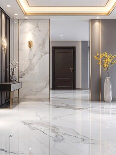 现代轻奢风入户玄关设计