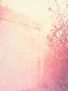 梦幻粉调自然风景画面