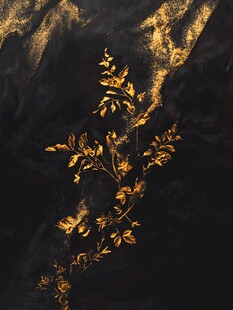 黑金植物纹理艺术背景图