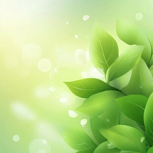 清新绿叶背景图