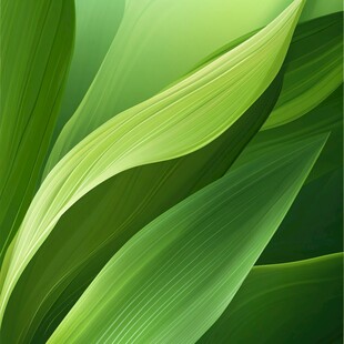 翠绿叶片的自然韵律之美