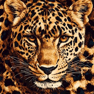 豹纹特写 野性之美