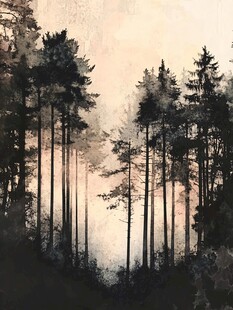 黄昏下的静谧森林