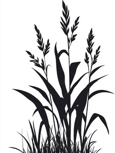 麦草剪影