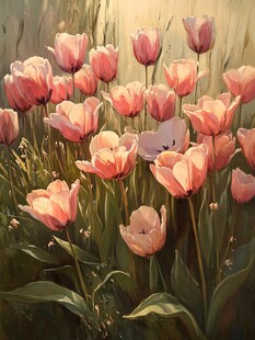 春日粉郁金香绽放美景