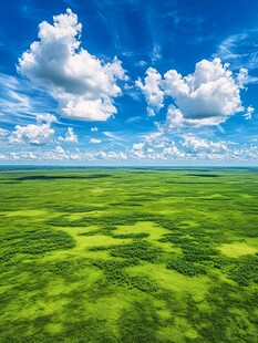 广袤绿野上的蓝天白云