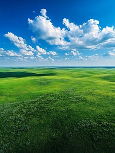 广袤草原蓝天飘白云